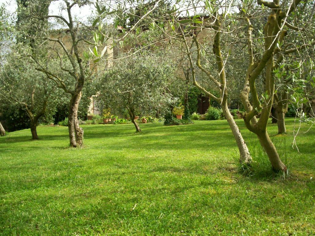 Podere Il Caggio Rooms San Gimignano Luaran gambar